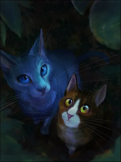 Quelle est la prophétie que Petite Feuille reçoit aux côtés d'Étoile Bleue ?