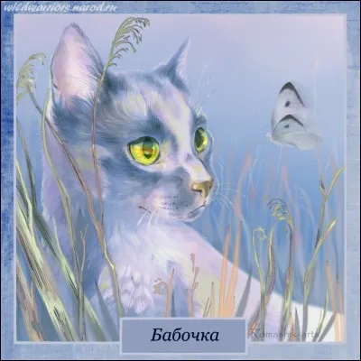 Qui découvre la Pierre de Lune ?