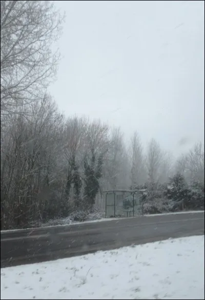 Combien Catelyn Stark a-t-elle eu d'enfants ?