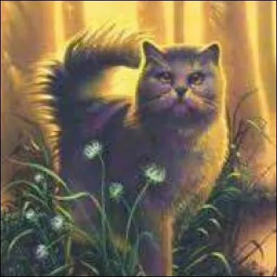 Qu'utilise Croc Jaune pour tuer son fils ?