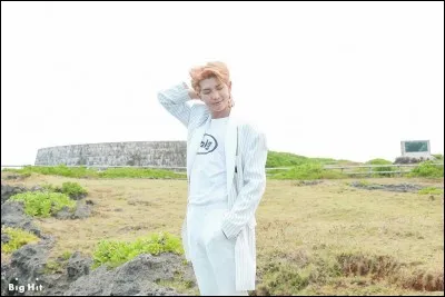 Quel membre du groupe GOT7 est ami avec Nam-joon ?