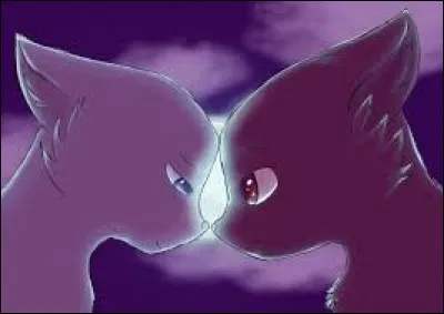 Vous êtes amoureux/amoureuse d'un(e) chat(te) ennemi(e) mais votre chef le découvre et vous interdit de la/le revoir.
Que faites-vous ?