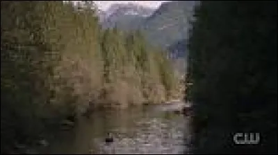 Pourquoi cette personne a-t-elle voulu se suicider (voir question 5) ?