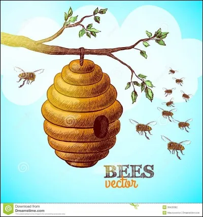 Q'utilisent les renards ?