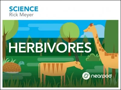 Quel est le régime alimentaire du renard ?