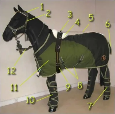 Comment se nomme le numéro 3 ?