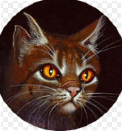 Comment Griffe de Tigre meurt-il ?