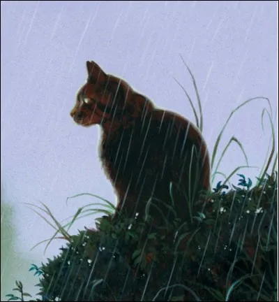 Quel est le premier chat sauvage qu'il rencontre ?