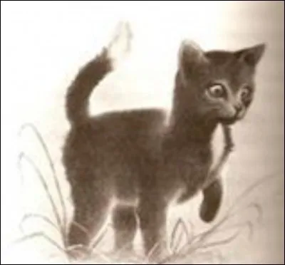 Quel chat quitte la for&ecirc;t pour vivre dans une grange ?