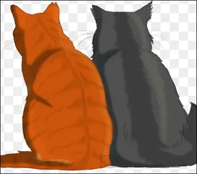 Qui est le meilleur ami de C�ur de Feu ?