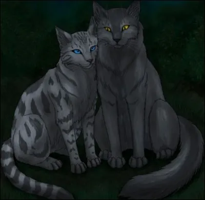 De qui est-il amoureux ?