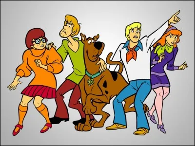 C'est une franchise américaine comprenant de nombreuses séries, téléfilms et films d'animation, créée par les studios Hanna-Barbera.