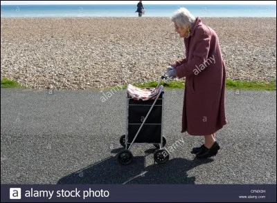 Une vieille dame a du mal à tirer son caddie. Que fais-tu ?