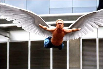 'Quand les cons voleront, tu seras... ' Quoi d'après la citation anonyme ?