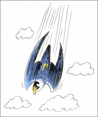 Quel oiseau est capable d'atteindre 250 km/h en vol piqué ?