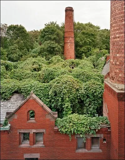 En 1885, le Riverside Hospital a déménagé sur cette île du Bronx (NYC). Spécialisé dans le traitement de la variole, le rôle de cet asile s'étendit progressivement aux différentes maladies exigeant une mise en quarantaine. On y accueillit aussi des vétérans de la Seconde Guerre mondiale et puis finalement, de jeunes drogués.
Où cette île était-elle située ?