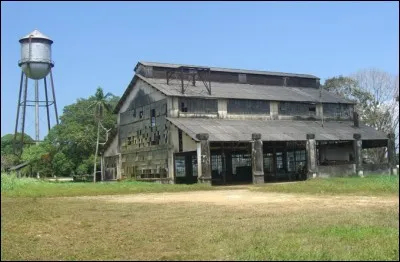 Vers 1920, le papa de la modèle T, a construit une ville exemplaire au coeur de l'Amazonie. L'Américain envisageait sa plantation devenir la plus grande de caoutchouc au monde. Jamais la jungle n'avait vu un tel luxe : hôpital, école, bibliothèque et même golf !
Mais ce rêve fut un cauchemar : les hévéas seront décimés par un champignon. Quelle est cette ville qui dès 1945 était abandonnée ?
