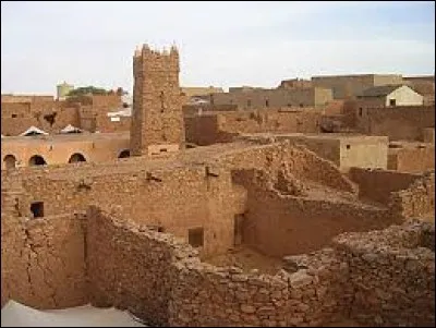 Datant de la la fin du XIIIe siècle, cette cité fut un rendez-vous caravanier d'importance et une agglomération musulmane de tout premier ordre, appelée ville des bibliothèques, elle était la septième ville sainte de l'Islam. Il faut la trouver parmi ces trois suivantes.