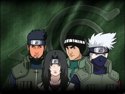 Qui est ton sensei pr&eacute;f&eacute;r&eacute; ?