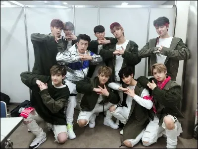 Dans le group "Stray Kids qui sont les membres australiens ?