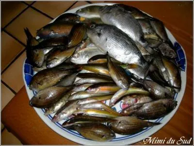 Ils viennent de quelle mer ces poissons ?