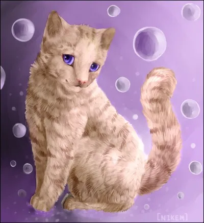 Qui est l'apprenti(e) de il de Myosotis ?