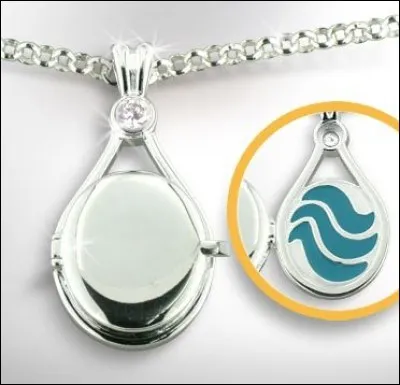 À qui appartient ce collier ?