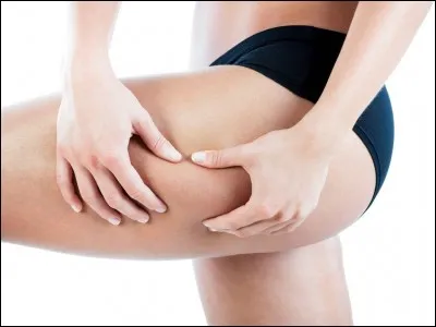 Quel est le plus long os du corps humain ?