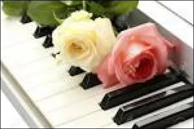 Quel instrument choisirais-tu ?