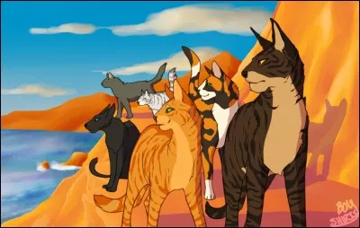 Qu'as-tu r&eacute;ellement v&eacute;cu ?