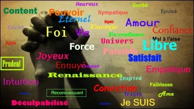 Quel sentiment &eacute;prouves-tu le plus souvent ?