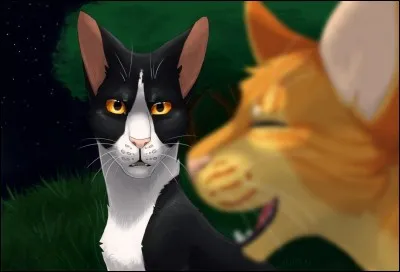 Regarde tes amis, les aimes-tu vraiment ?