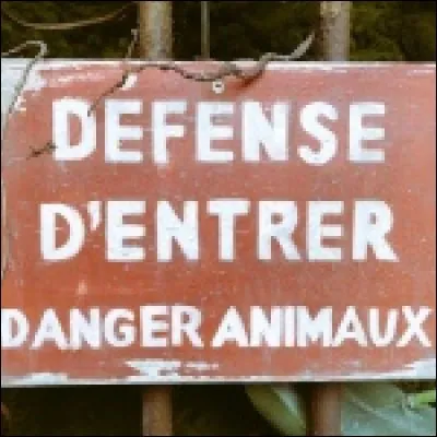 Quels animaux font leur apparition dans l'émission pour la première fois le 30 juin 2018 ?