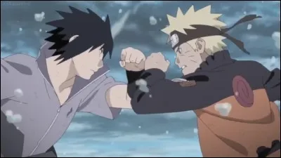 Qui sépare Naruto et Sasuke lorsqu'ils se battent sur le toit de l'hôpital ?