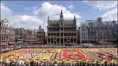 Dans quelle ville belge peut-on voir son tapis de fleur devant la Maison du Roi ?