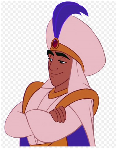 Comment appelle-t-on Aladdin quand il est prince ?