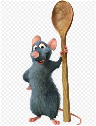 Comment s'appelle le cuisinier préféré de Rémy ?