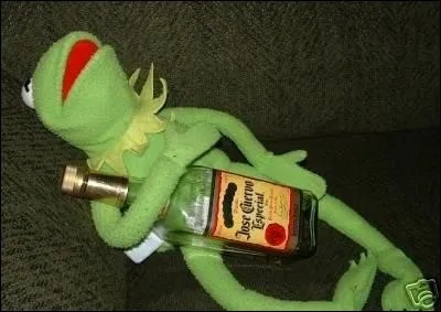 De quelle manière les membres du groupe BTS aiment-ils A.R.M.Y. ?