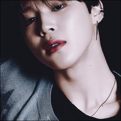 Dans quelle maison est Park Ji-min ?