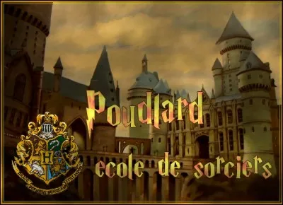 Qui dirige principalement l'&eacute;cole de Poudlard de la saga Harry Potter ?
