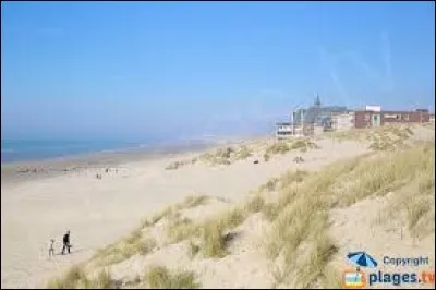 Au mois d'avril à la plage de Berck, les gens font des rencontres internationales et la fête. Que doivent-ils apporter à cette plage de Berck ?