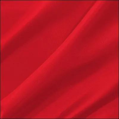 Qui porte une veste rouge pailletée ?