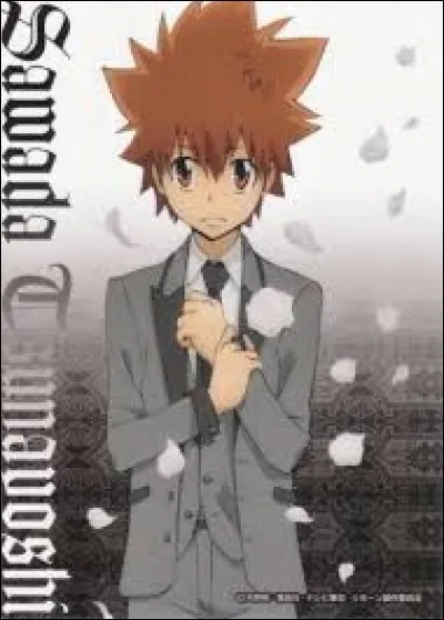 Quelle est la bague de Tsuna ?