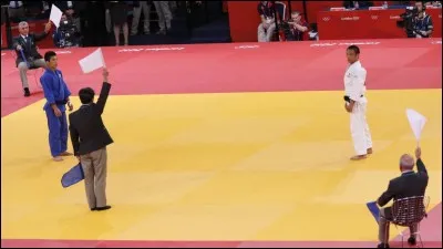 Sur quoi pratique-t-on le judo ?