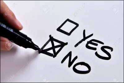 À un référendum, on répond soit par "oui", soit par "non".