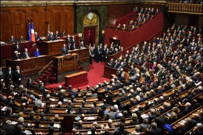 Le Parlement comprend l'Assemblée nationale et le Sénat.