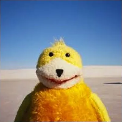 Quel DJ est associé à cette peluche présente dans le clip vidéo de sa chanson "Flat Beat" en 1999 ?