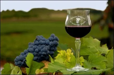 Il serait dommage de ne pas finir cet excellent vin rouge produit en Touraine :