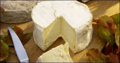 Voici un fromage à pâte molle à croûte fleurie :
