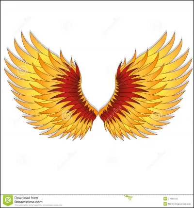 Comment s'appelle le skin ailé ?